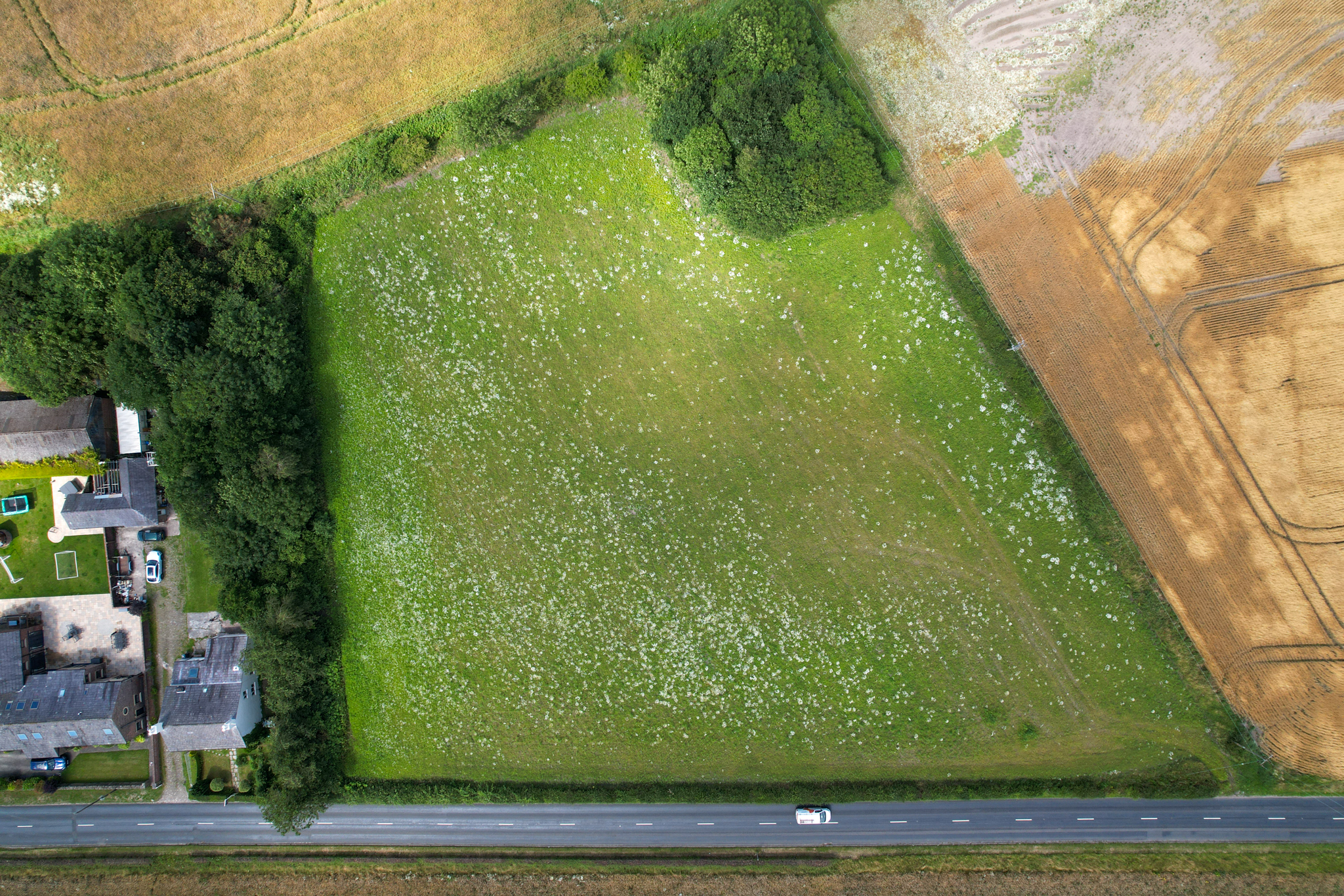 Drone shot